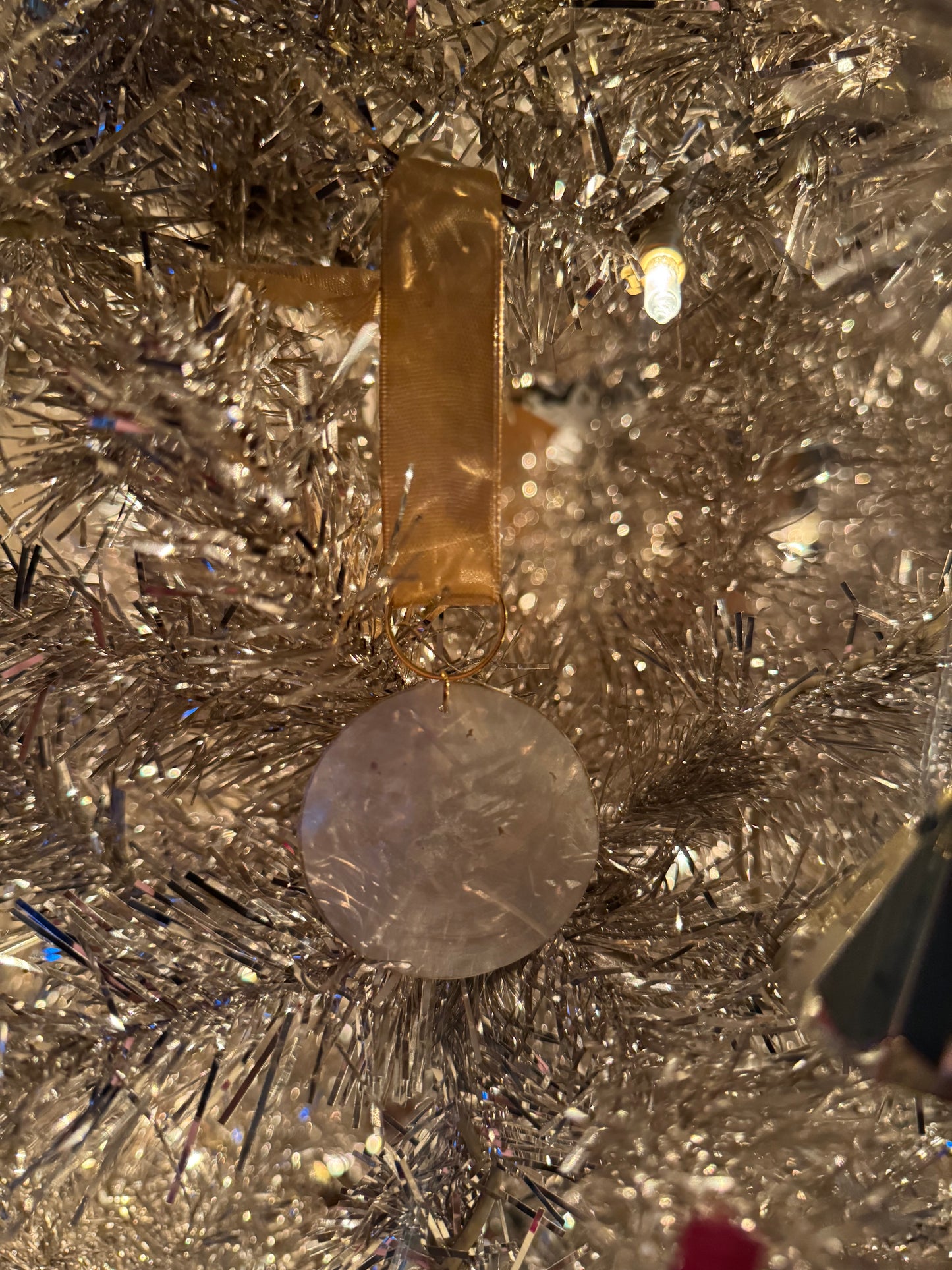 Sea Shell Car Hanging Display/Ornament