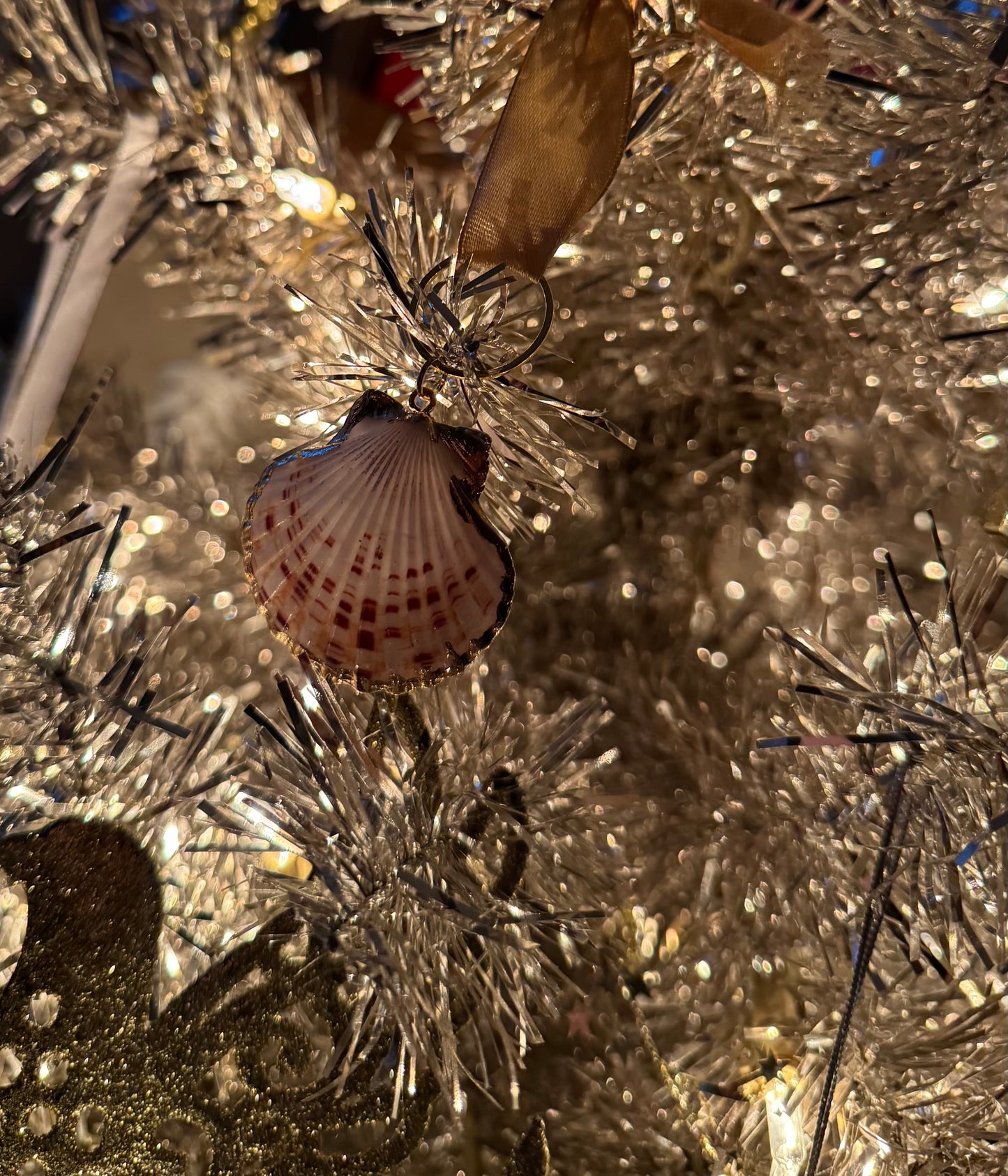 Sea Shell Car Hanging Display/Ornament