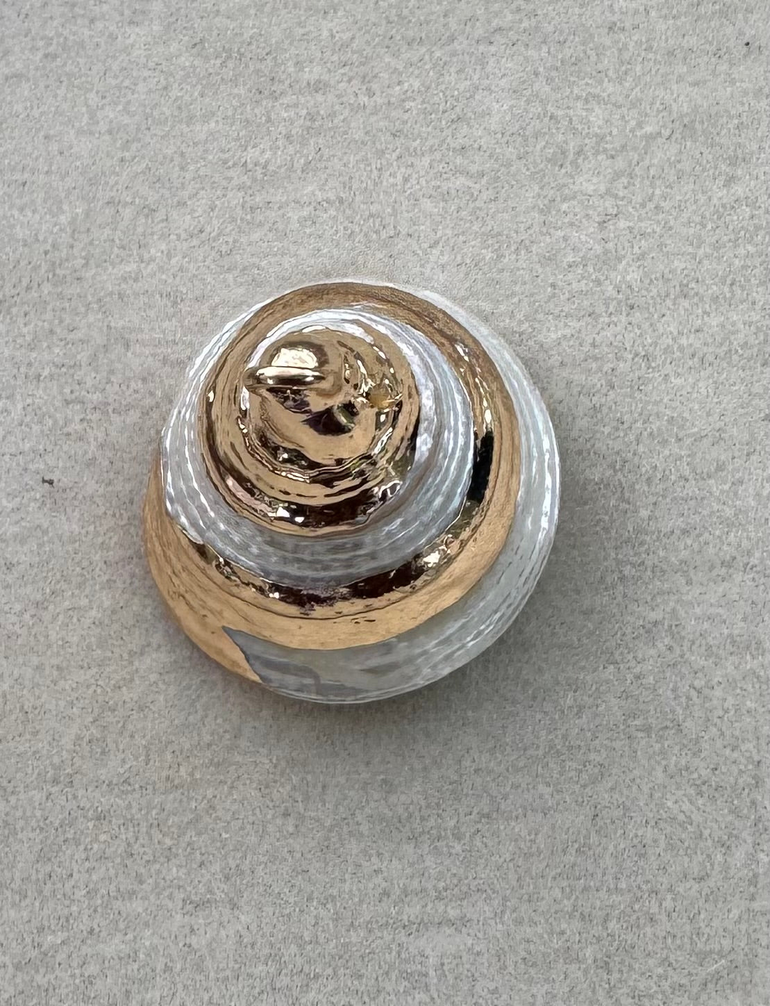 Spiral shell charm