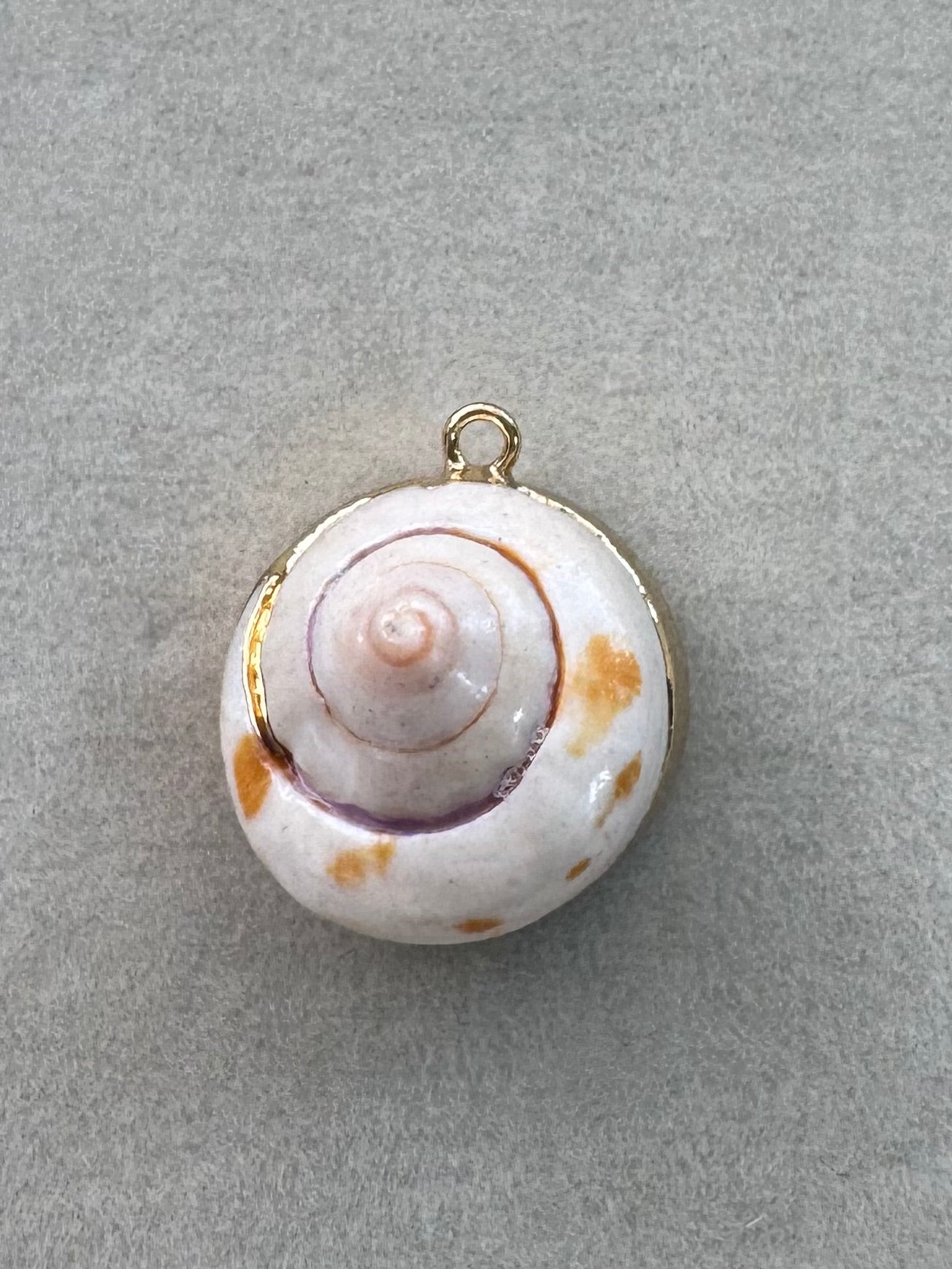 Swirl shell charm