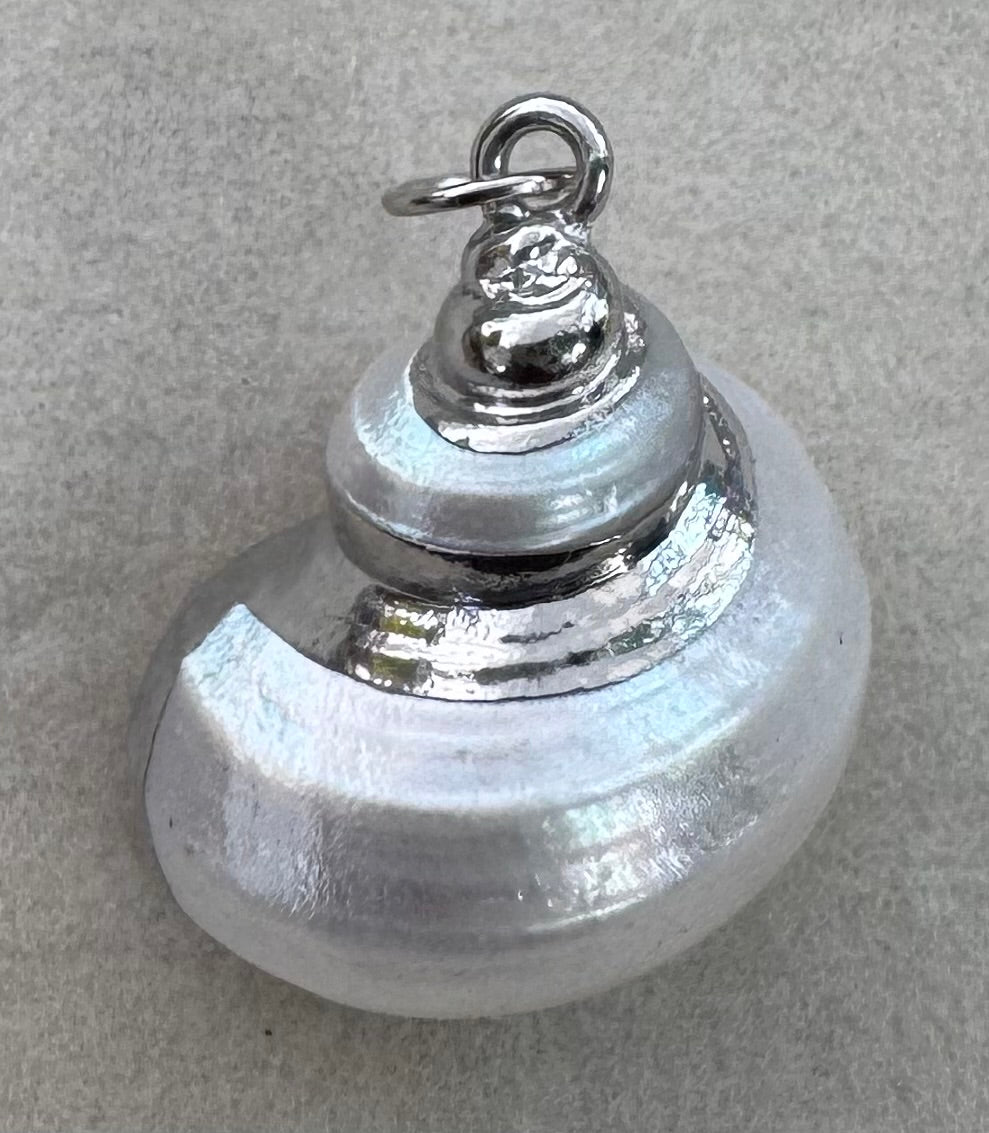Silver shell Charm