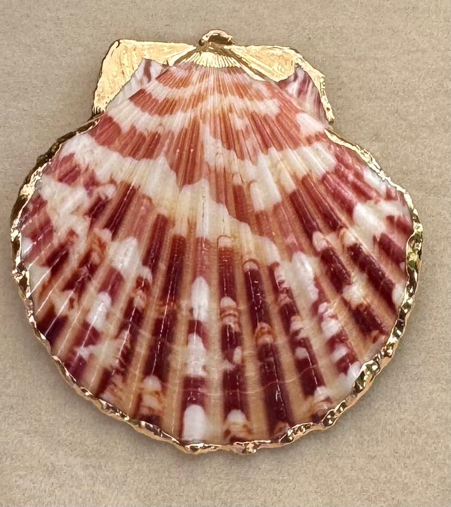 Gold Sea Shell Charm