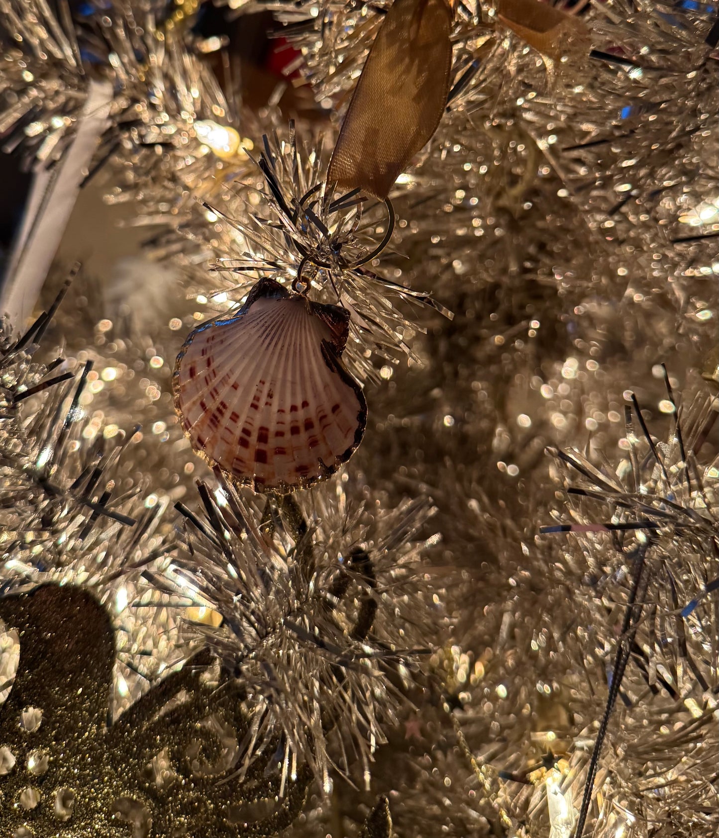 Sea shell ornaments