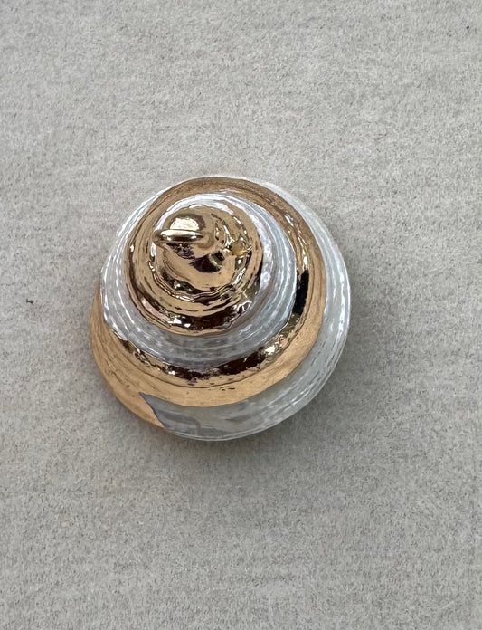 Spiral shell charm