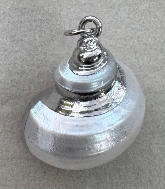 Silver shell Charm