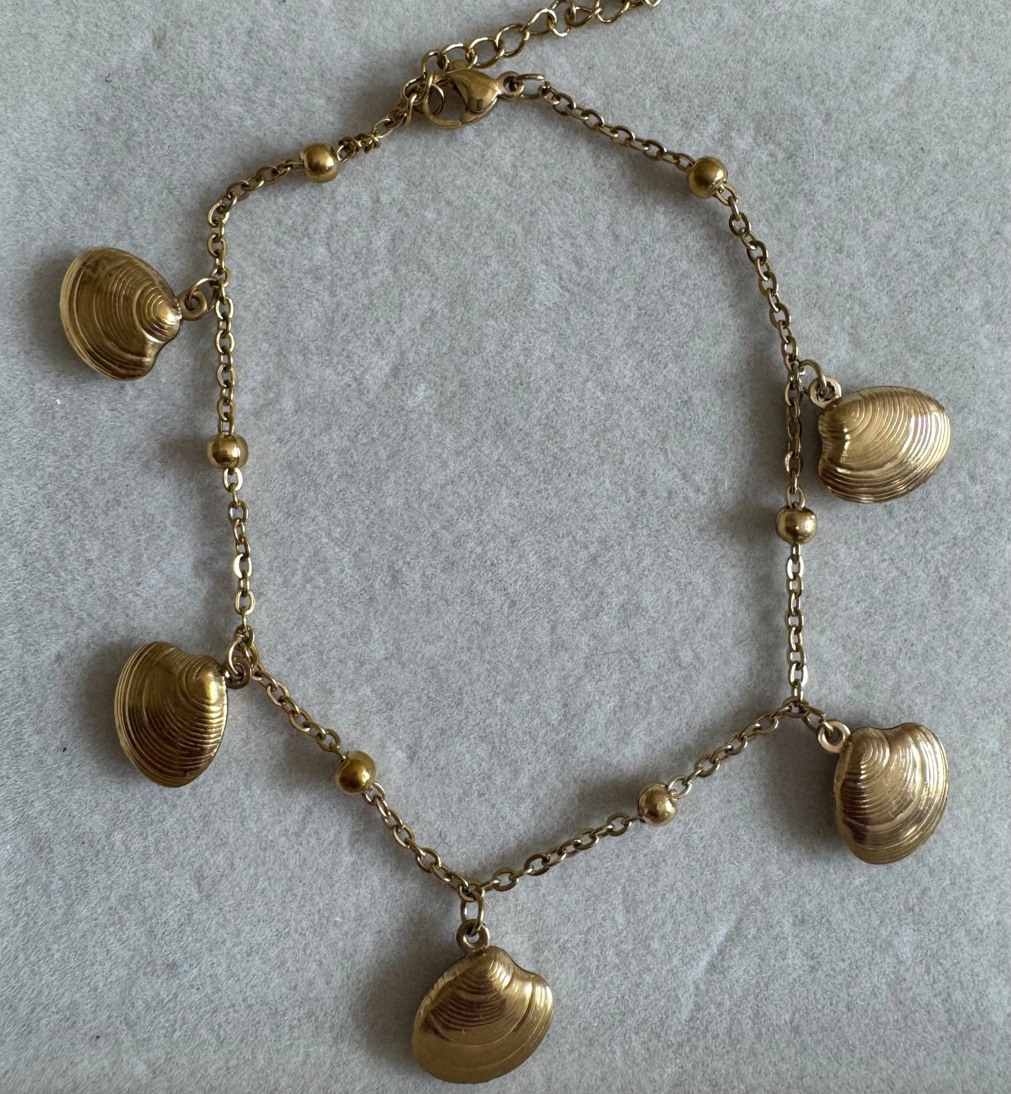 Sea shell charm anklet