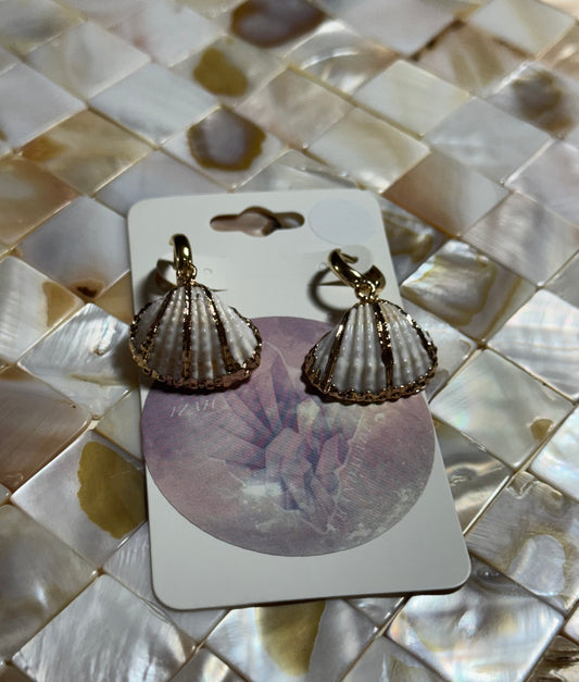 Small Sea Shell Huggie Earrings