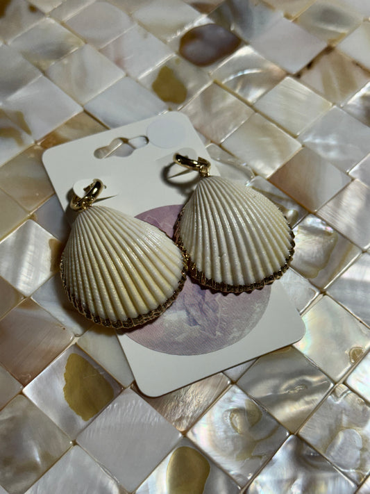 White Sea Shell Huggies