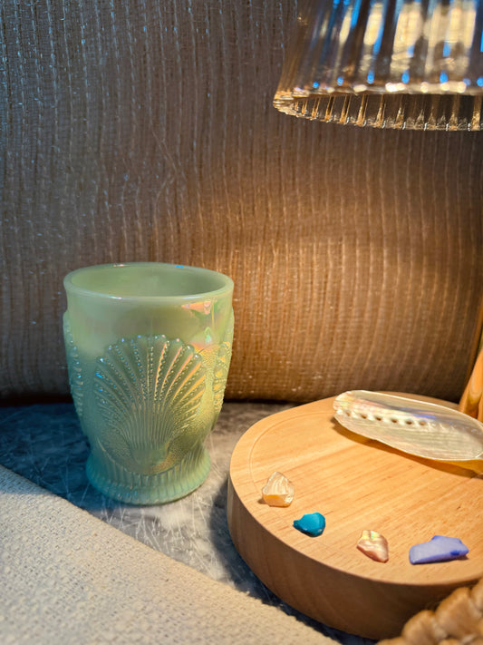 Bamboo Cowrie Agave Candle