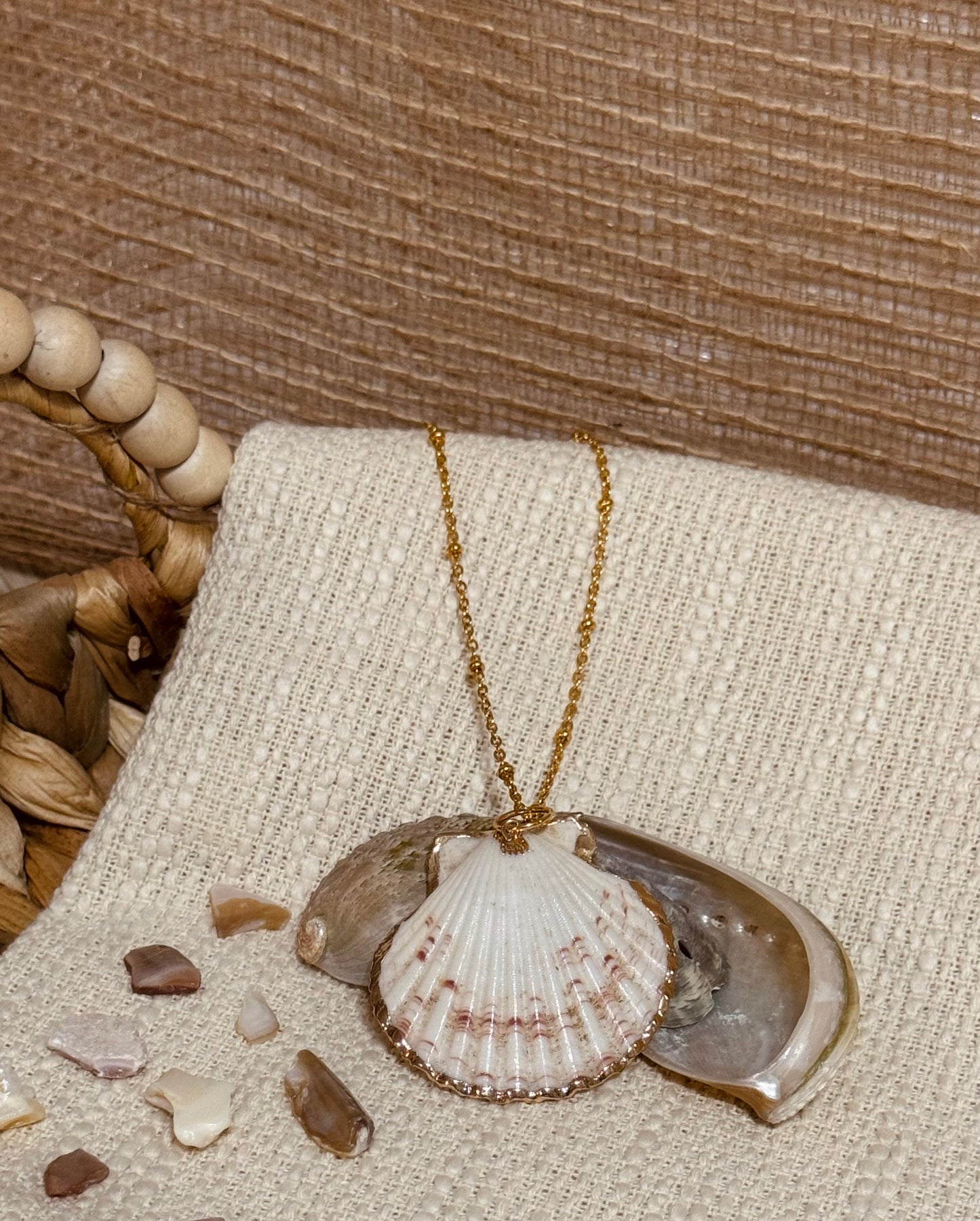 Sea Shell Necklace